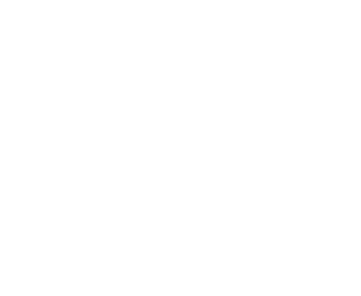 BOSS GP